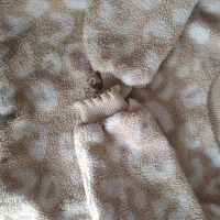 لباس بچه گانه|کفش و لباس بچه|کرمانشاه, |دیوار