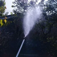 باغبانی درختکاری گل کاری هرس تیلر در هر نقط