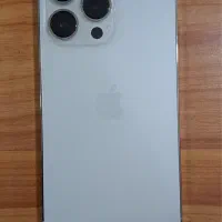 13pro