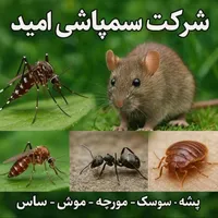 سمپاشی صددرصد تضمینی سم پاشی سوسک و ساس و ...