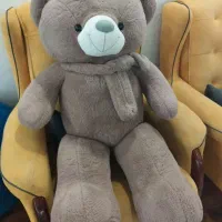 خرس ولنتاین