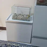 آکواریوم و میز|ماهی|پردیس, فاز ۲|دیوار