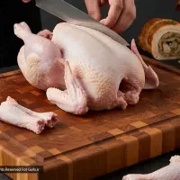 مرغ هلندی