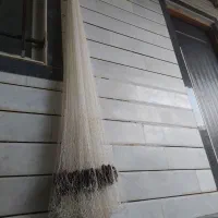 تور ماهیگیری سالیک