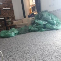 تور ماهیگیری