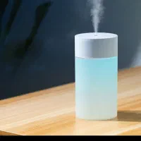 حراج وسایل فلاسک دستگاه بخور مجسمه چوبی دکوری|حراج|شیراز, باغ تخت|دیوار