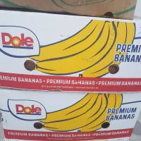 کارتن موزی و سبد میوه