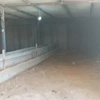 معاوضه دامداری با ماشین سنگین در ماهدشت|فروش دفتر صنعتی، کشاورزی، تجاری|پلنگ آباد, |دیوار