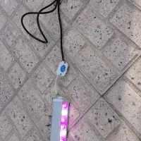 لامپ رشد گیاهان ۶ وات