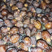 ریزه با کیفیت ارسال به سراسر کشور