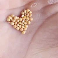 کارگر اسباب کشی تمامی کارهای ساختمانی وقیره پذیرفت