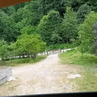 کلبه جنگلی کنار رودخونه ارتفاعات|اجارهٔ کوتاه‌مدت ویلا و باغ|ماسال, |دیوار