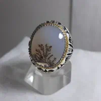 انگشترهای تمام دست استاد نوروزی|جواهرات|زنجان, |دیوار