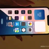 ایفون ۱۳نرمال|موبایل|کرج, باغستان|دیوار