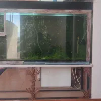 اکواریوم بزرگ و تمام وسایل ها