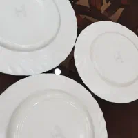 18 پارچه گل ویکتوریا اصل فرانسه|ظروف سرو و پذیرایی|علیآباد کتول, |دیوار