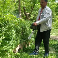 گلکاری درخت کاری سمپاشی جابجای خاک گلدان وباغچه|خدمات باغبانی و درختکاری|مشهد, دانشجو|دیوار