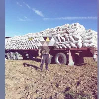 نیازمند برای کار