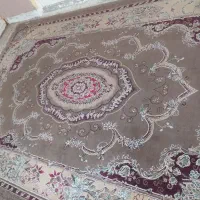 قالی 6 متری