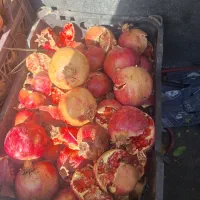 انار ربی جون