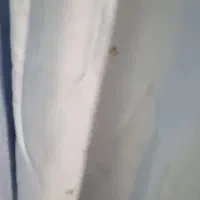 لباس مجلسی مادر ودختر|لباس|تهران, تجریش|دیوار