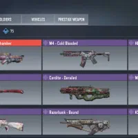 اکانت مخصوص مولتی