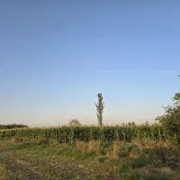 باغ زیبا نزدیک به شهر|فروش زمین و ملک کلنگی|میاندوآب, |دیوار