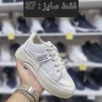 کتونی زنانه زیر قیمت حراج شد|کیف، کفش، کمربند|قم, ارم|دیوار