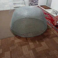 گرگور