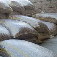 باقالی درجه یک|عمدهفروشی|چورزق, |دیوار