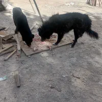 باسلام خدمت شما دوستان عزیز