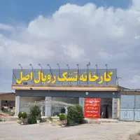 تشک طبی تضمینی بهبود کمردرد