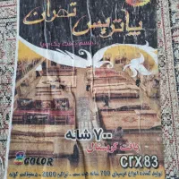 ۲عدد فرش ۹متری|فرش|الوند, |دیوار