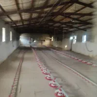 فروش مرغداری گوشتی در اطراف شبستر