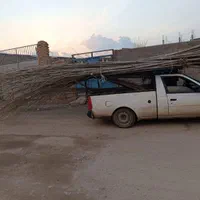 اکبری احمدآقایی پسته. نهال انگور صنوبر|خدمات باغبانی و درختکاری|لنجان, |دیوار