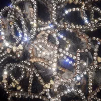 تعداد زیادی نگین ریز برای انگشتر