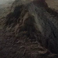 ماسه حدود چهار نیسان