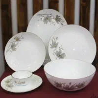 سرویس غذا خوری