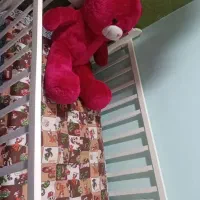 تخت وکالسکه