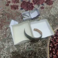 طلابرای سرمایه