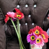 گل مصنوعی مارگریت