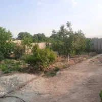 باغ-شهریار