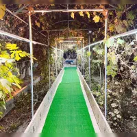 اجاره باغ ویلا روزانه /هفتگی/ماهانه استخر دار|اجارهٔ کوتاه‌مدت ویلا و باغ|شاهدشهر, |دیوار