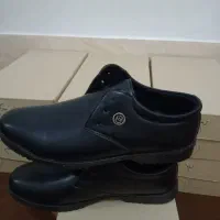 کفش مجلسی مردانه|کیف، کفش، کمربند|شیراز, شهرک سعدی|دیوار