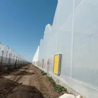 فروش گلخانه دشت مغان