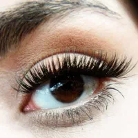 مژه|خدمات زیبایی و سلامت|تربتحیدریه, قائم|دیوار