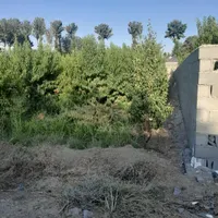 ۲۵۰مترباغچه سهیلیه سنقرآبادخ بنفشه معاوضه باماشین