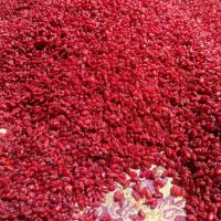 زرشک پفکی