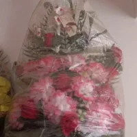 سبد گل زیبا|گل مصنوعی|قزوین, |دیوار