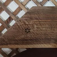 نقد و اقساط سنتور با متعلقات و گارانتی گالری آهنگ|سازهای سنتی|چالوس, |دیوار